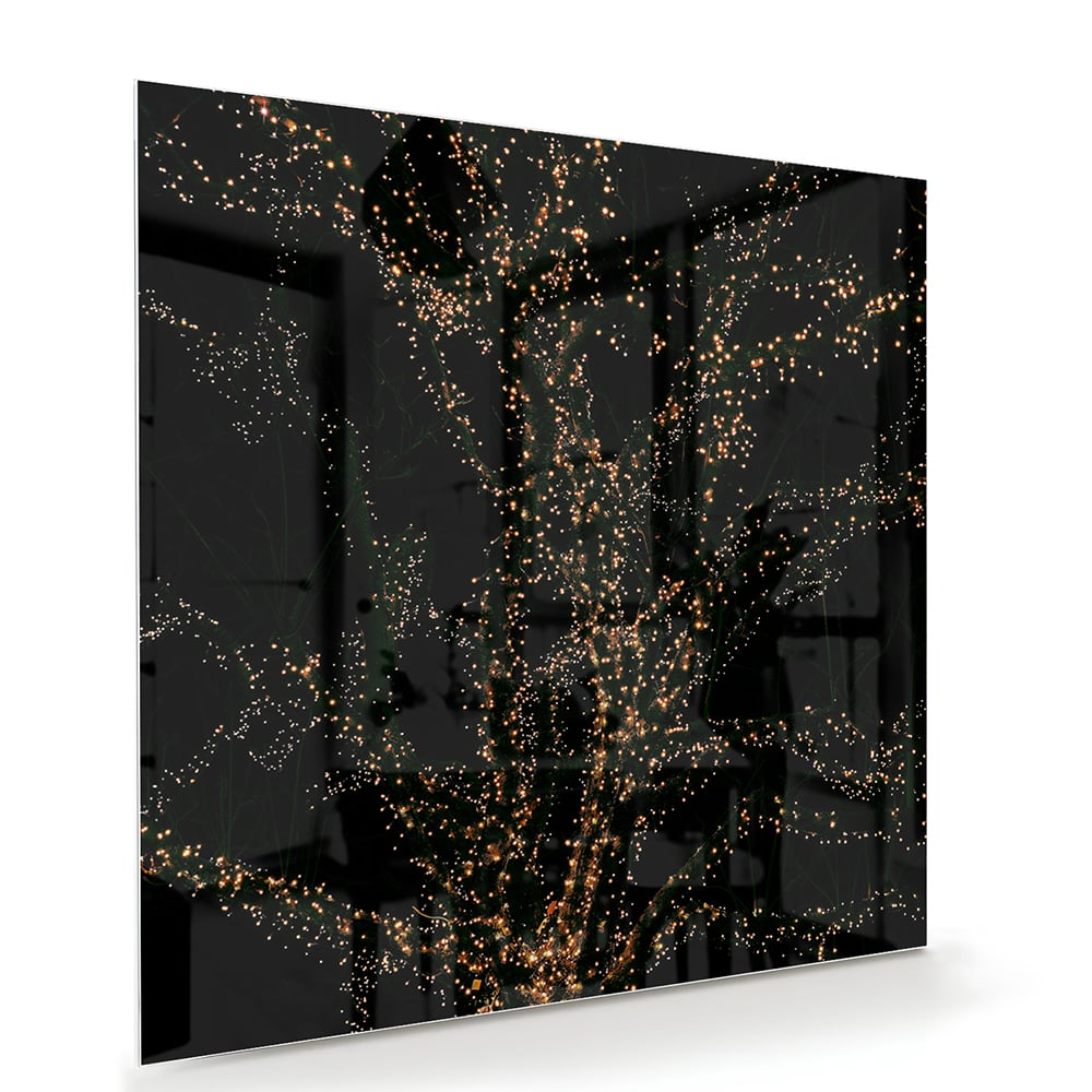 Glasbild mit goldenen Ästen auf schwarzem Hintergrund – Glasbild aus Sicherheitsglas, Größe 100x70