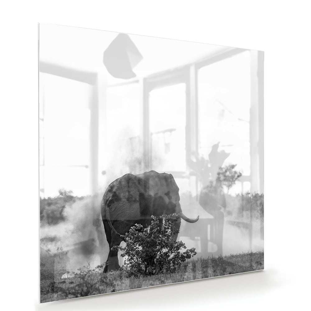 Elegantes Schwarz-Weiß-Glasbild mit einem Elefanten – Glasbild aus Sicherheitsglas, Größe 100x70