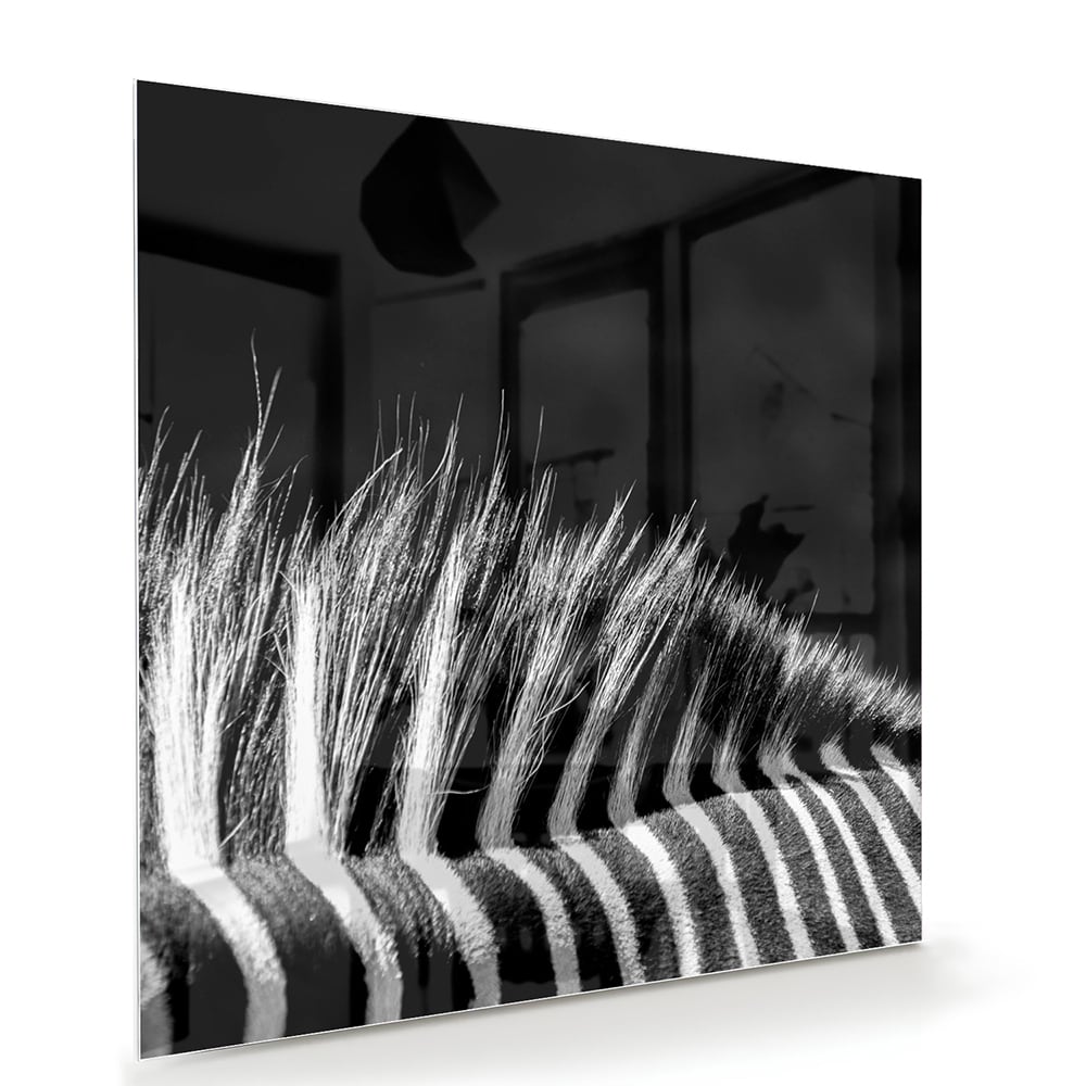 Modernes Schwarz-Weiß-Glasbild – Glasbild aus Sicherheitsglas, Größe 100x70