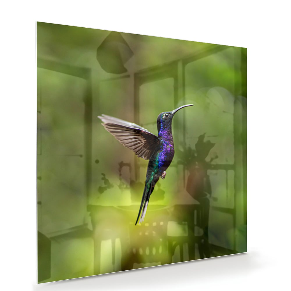 Glasbild mit fliegendem Kolibri inmitten grüner Ruhe – Glasbild aus Sicherheitsglas, Größe 100x70