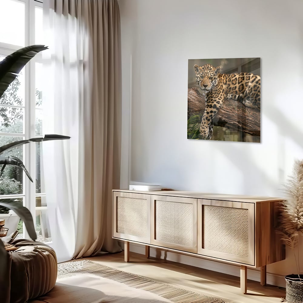 Glasbild mit einem majestätischen Jaguar – Glasbild aus Sicherheitsglas, Größe 120x60