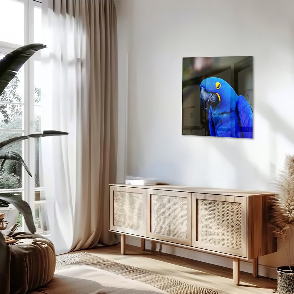 Glasbild mit einem wunderschönen blauen Ara – Glasbild aus Sicherheitsglas, Größe 120x60