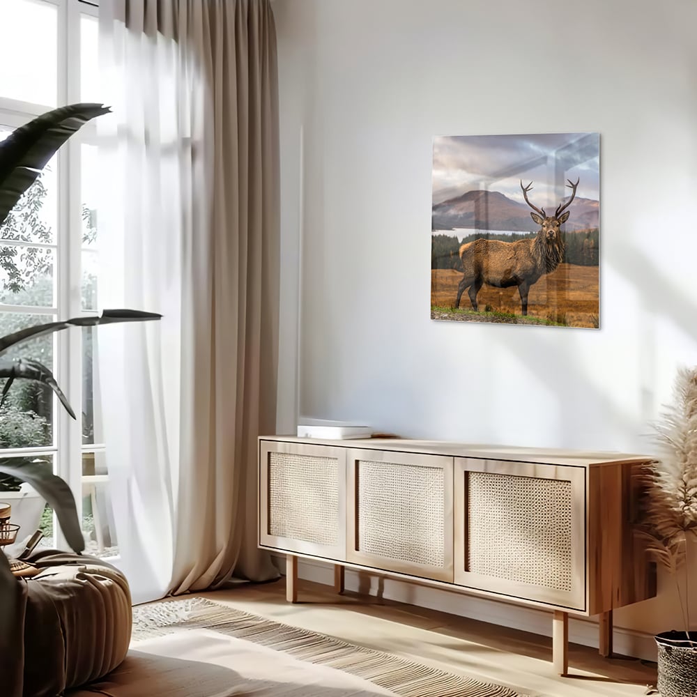 Glasbild mit majestätischem Hirsch – Glasbild aus Sicherheitsglas, Größe 120x60