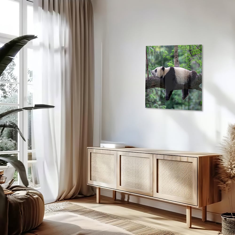 Glasbild mit entspanntem Panda auf einem Ast – Glasbild aus Sicherheitsglas, Größe 120x60