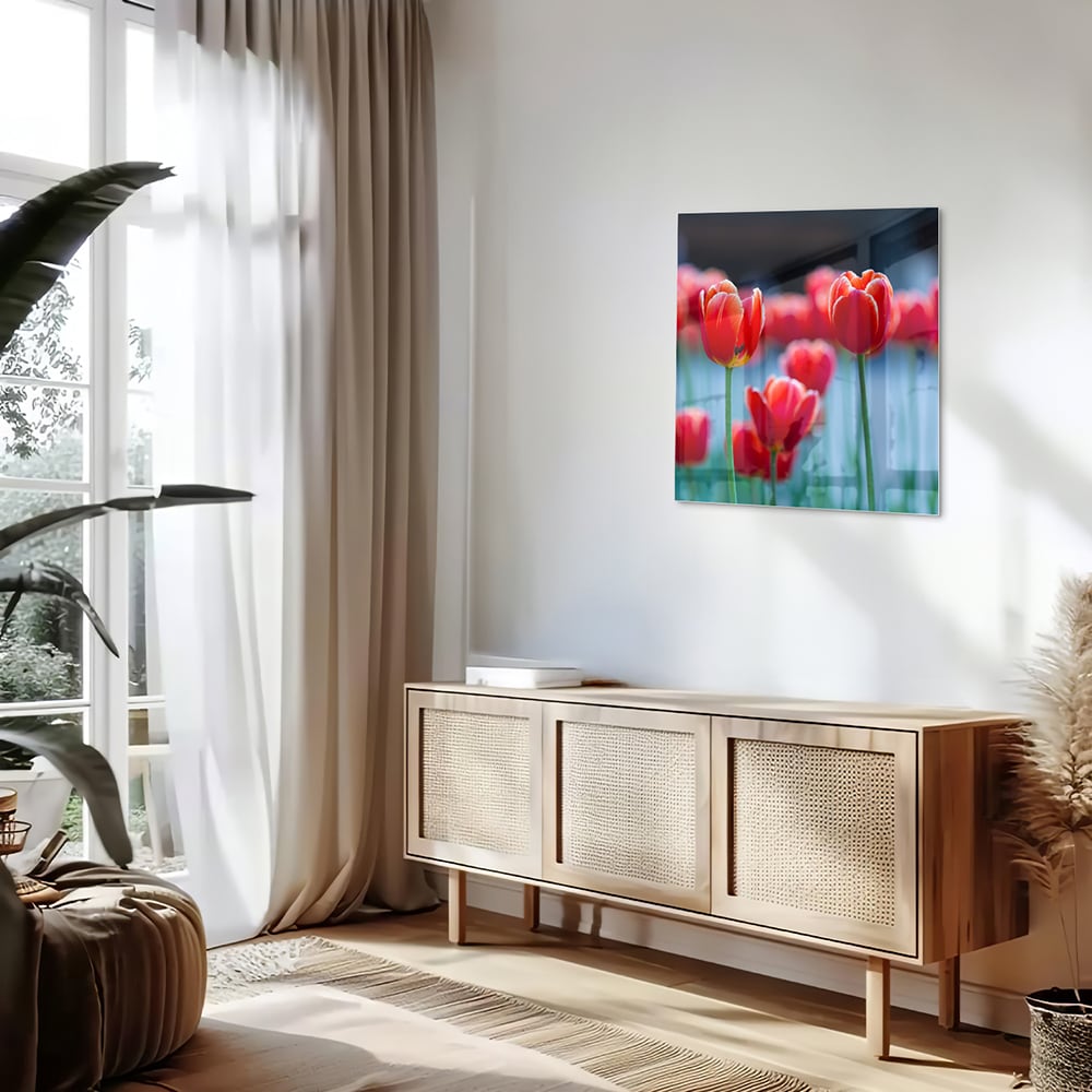 Glasbild – Lebendige rote Tulpen – Glasbild aus Sicherheitsglas, Größe 120x60