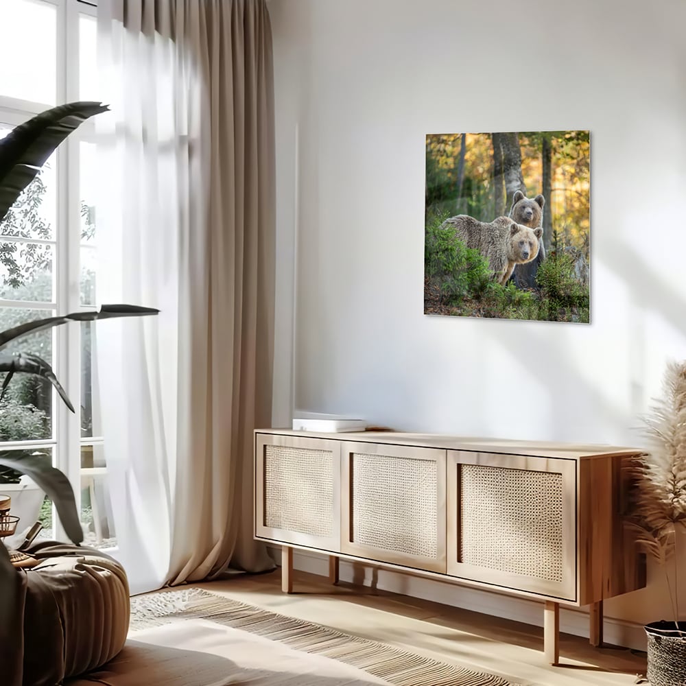 Glasbild mit zwei niedlichen Bären im Wald – Glasbild aus Sicherheitsglas, Größe 120x60