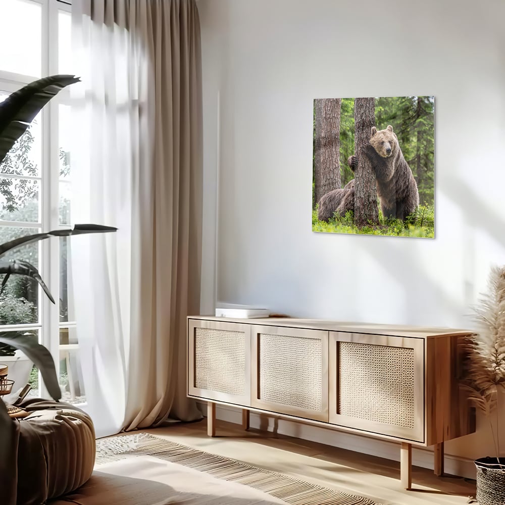 Glasbild mit beeindruckenden Grizzlybären in der Wildnis – Glasbild aus Sicherheitsglas, Größe 120x60