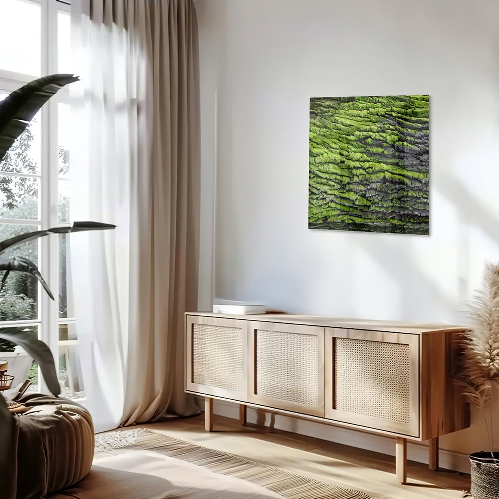 Glasbild mit moosartiger Textur – Glasbild aus Sicherheitsglas, Größe 120x60
