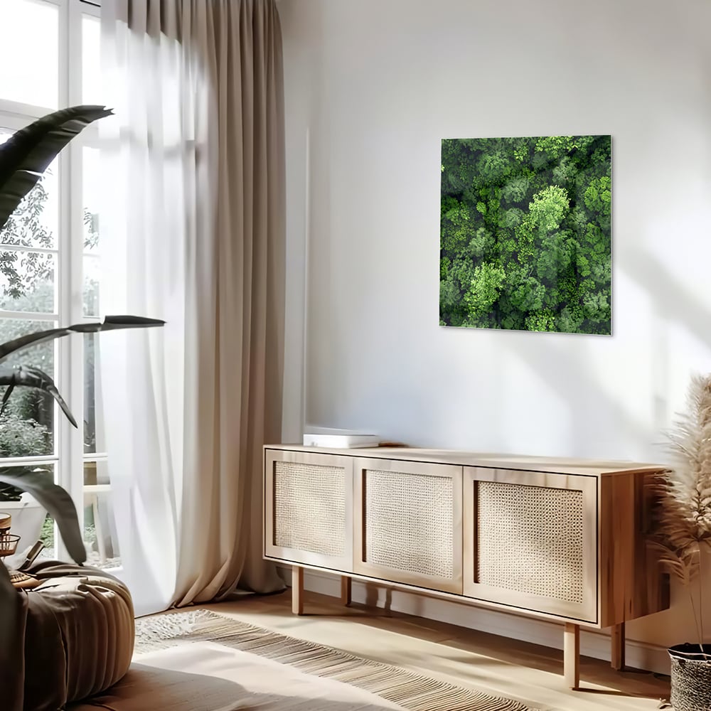 Glasbild mit Himmelsmotiv und üppigem grünen Wald – Glasbild aus Sicherheitsglas, Größe 120x60