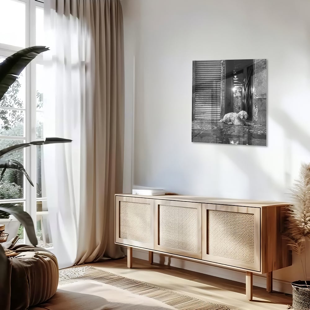 Schwarz-Weiß-Glasbild mit Hund in regnerischer Straßenszene – Glasbild aus Sicherheitsglas, Größe 120x60