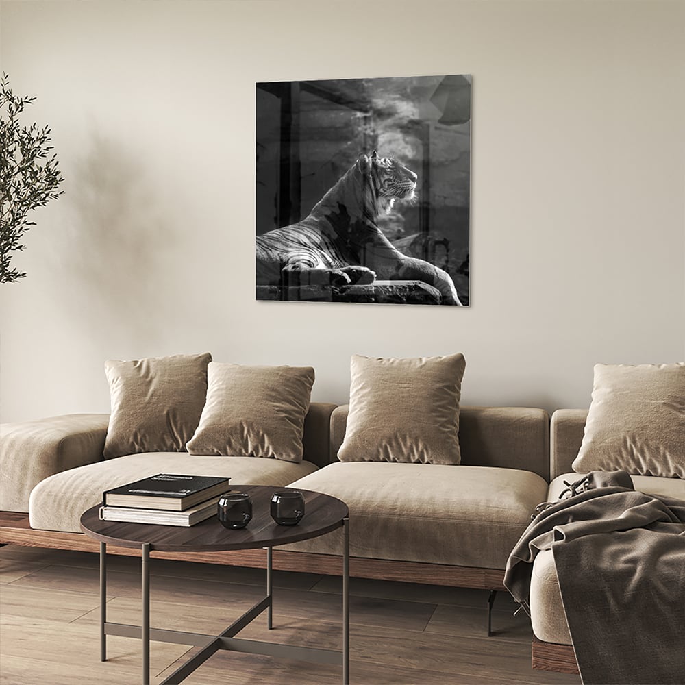 Schwarz-Weiß-Glasbild mit einem majestätischen Tiger – Glasbild aus Sicherheitsglas, Größe 90x90_rond