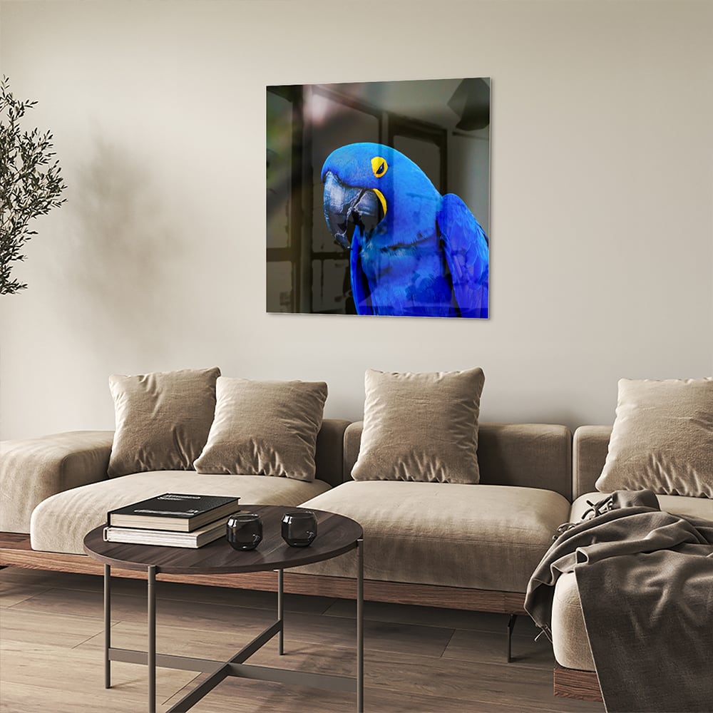 Glasbild mit einem wunderschönen blauen Ara – Glasbild aus Sicherheitsglas, Größe 90x90_rond