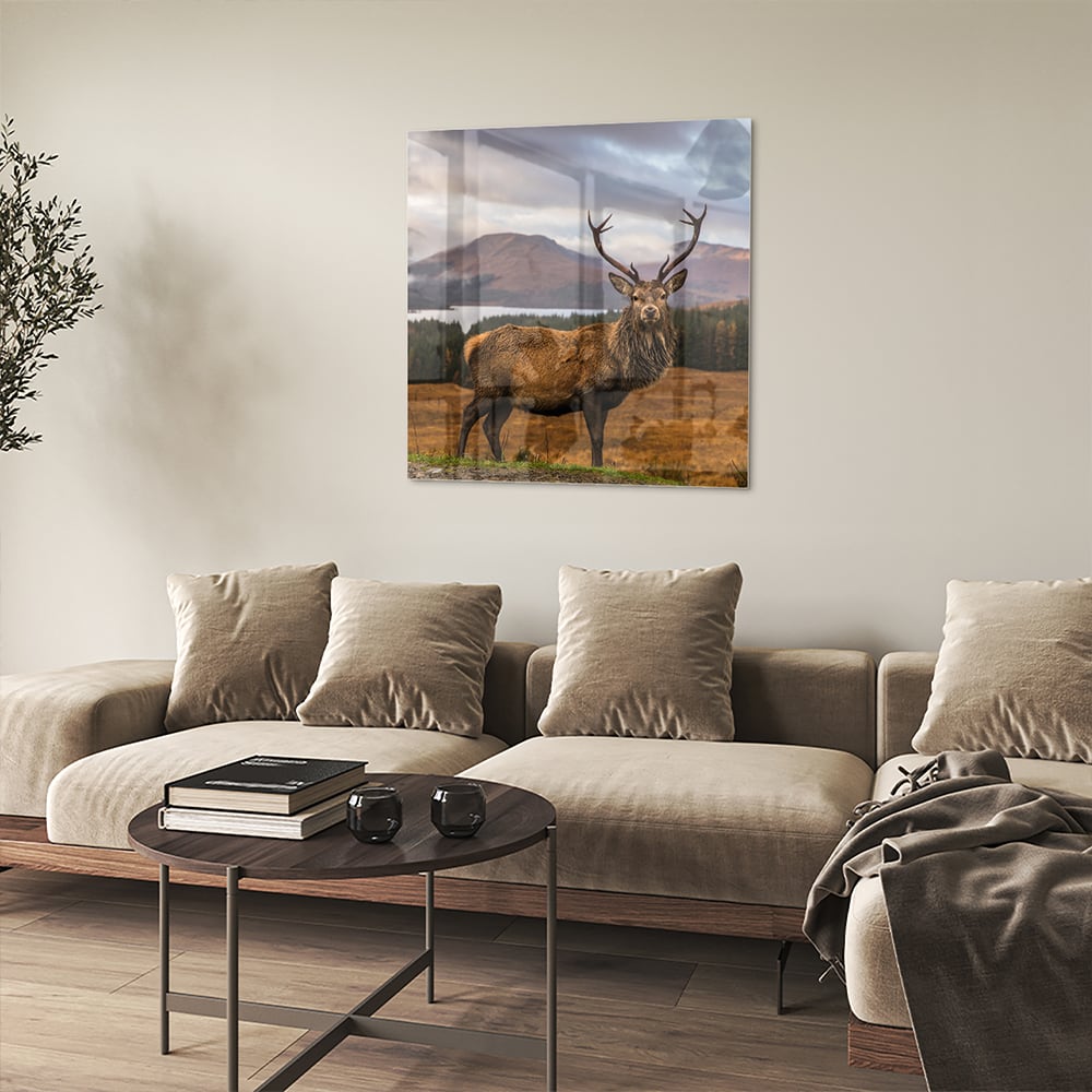 Glasbild mit majestätischem Hirsch – Glasbild aus Sicherheitsglas, Größe 90x90_rond