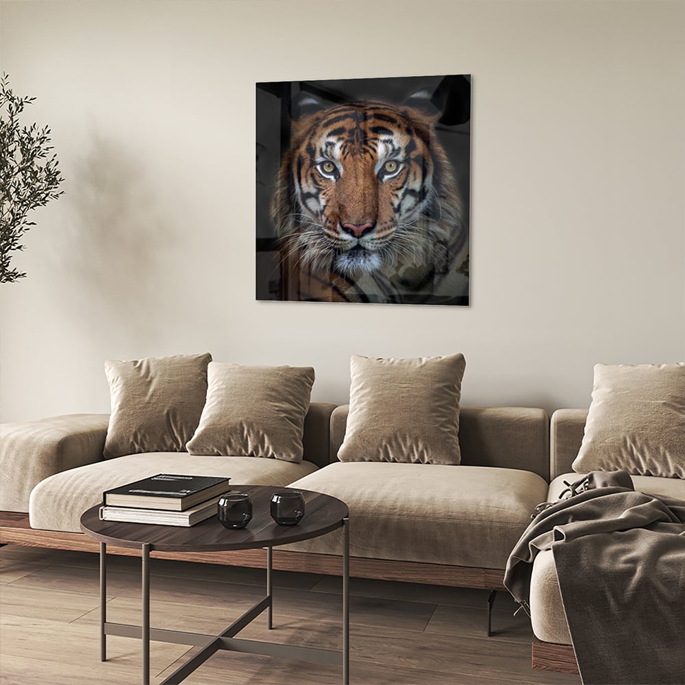 Kraftvoller Tiger – Glasbild für Ihr Interieur – Glasbild aus Sicherheitsglas, Größe 90x90_rond