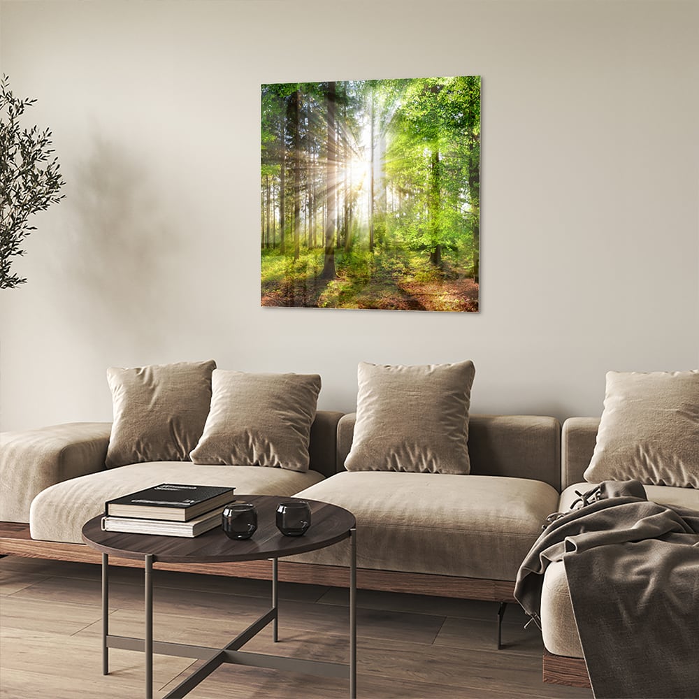 Glasbild mit sonnigem Wald für die Wohndekoration – Glasbild aus Sicherheitsglas, Größe 90x90_rond