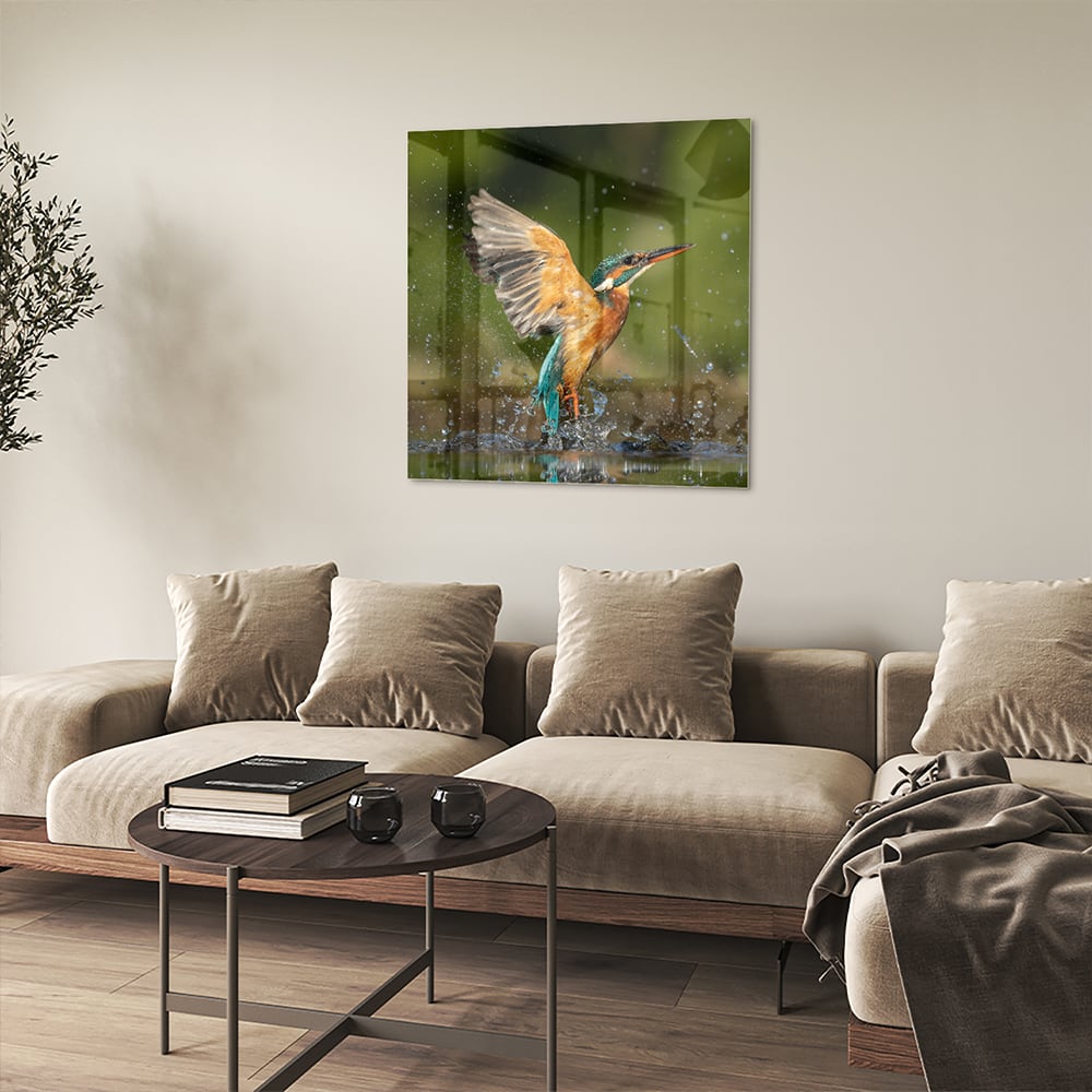 Glasbild mit einem farbenfrohen Eisvogel – Glasbild aus Sicherheitsglas, Größe 90x90_rond