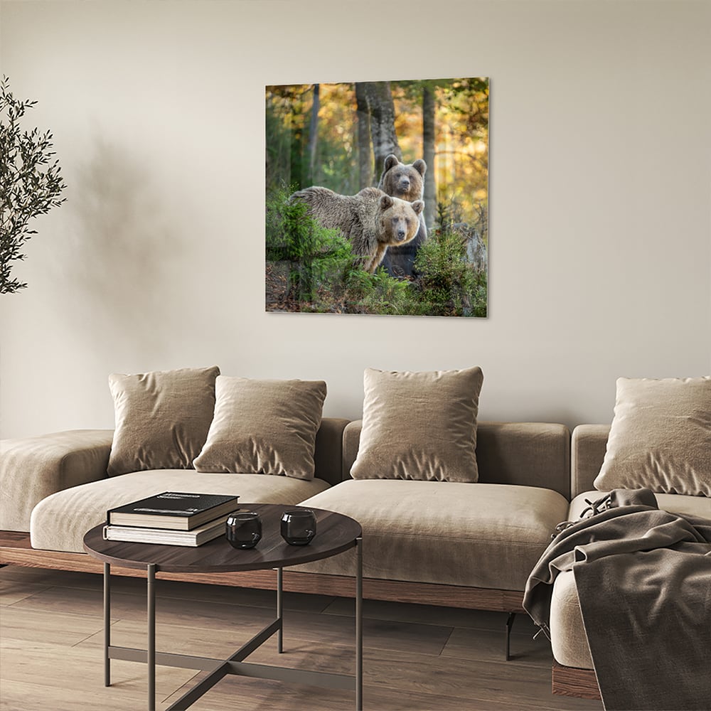 Glasbild mit zwei niedlichen Bären im Wald – Glasbild aus Sicherheitsglas, Größe 90x90_rond
