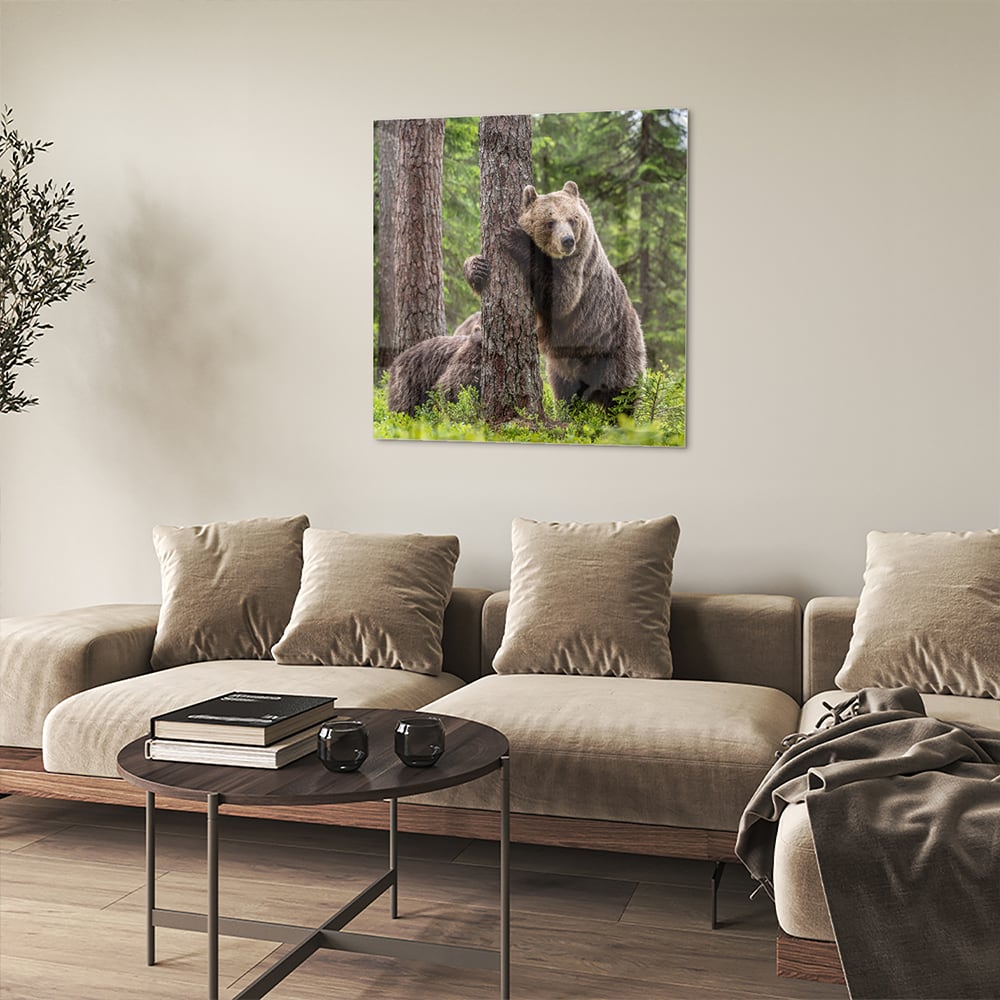 Glasbild mit beeindruckenden Grizzlybären in der Wildnis – Glasbild aus Sicherheitsglas, Größe 90x90_rond