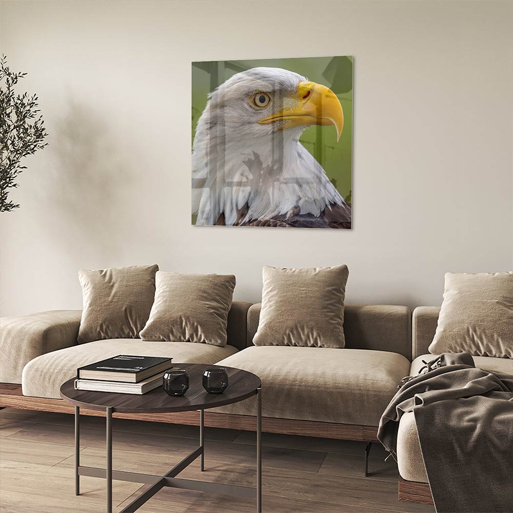 Glasbild mit majestätischem amerikanischen Weißkopfseeadler – Glasbild aus Sicherheitsglas, Größe 90x90_rond