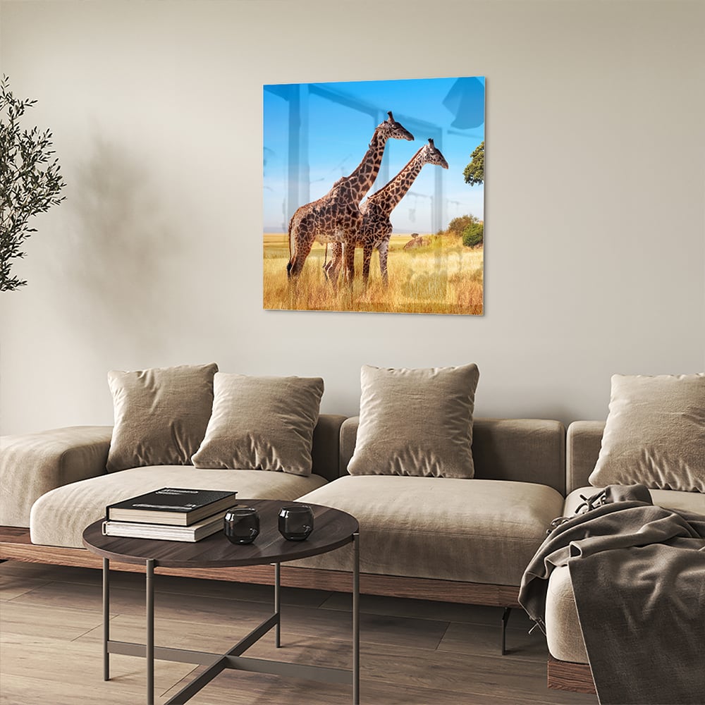 Glasbild mit zwei Giraffen in der afrikanischen Landschaft – Glasbild aus Sicherheitsglas, Größe 90x90_rond