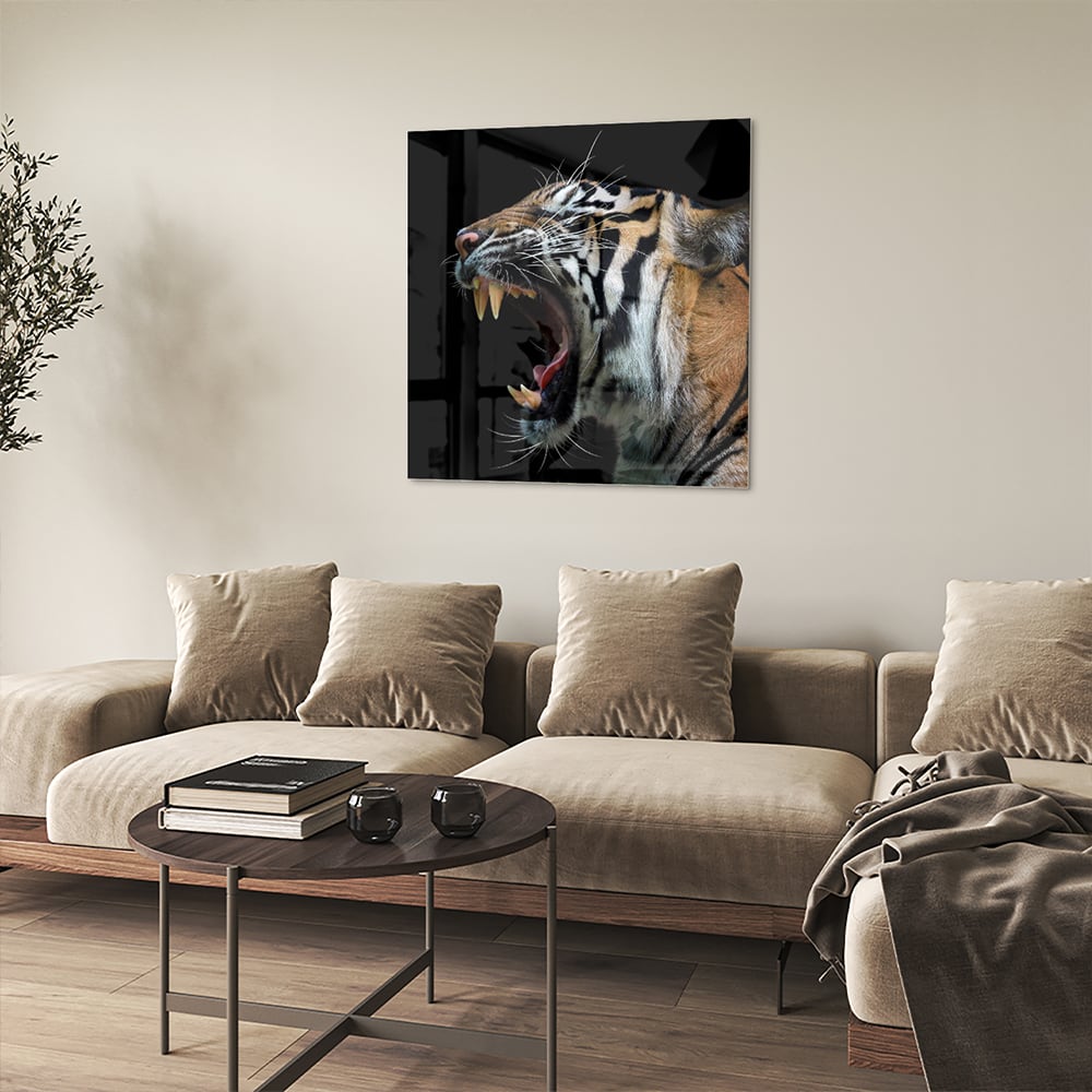 Beeindruckendes Glasbild mit einem brüllenden Tiger – Glasbild aus Sicherheitsglas, Größe 90x90_rond