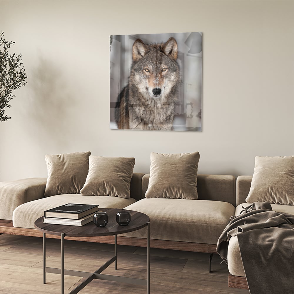 Beeindruckendes Glasbild mit einem Wolf – Glasbild aus Sicherheitsglas, Größe 90x90_rond