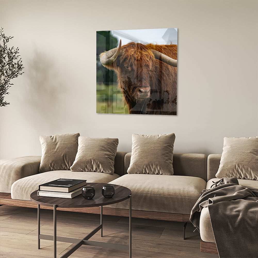 Glasbild mit einem schottischen Hochlandrind – Glasbild aus Sicherheitsglas, Größe 90x90_rond