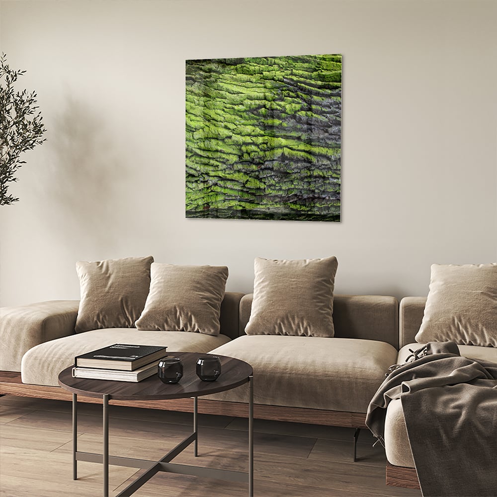 Glasbild mit moosartiger Textur – Glasbild aus Sicherheitsglas, Größe 90x90_rond