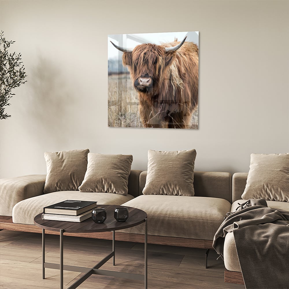 Glasbild mit Hochlandrind in Holzoptik – Glasbild aus Sicherheitsglas, Größe 90x90_rond