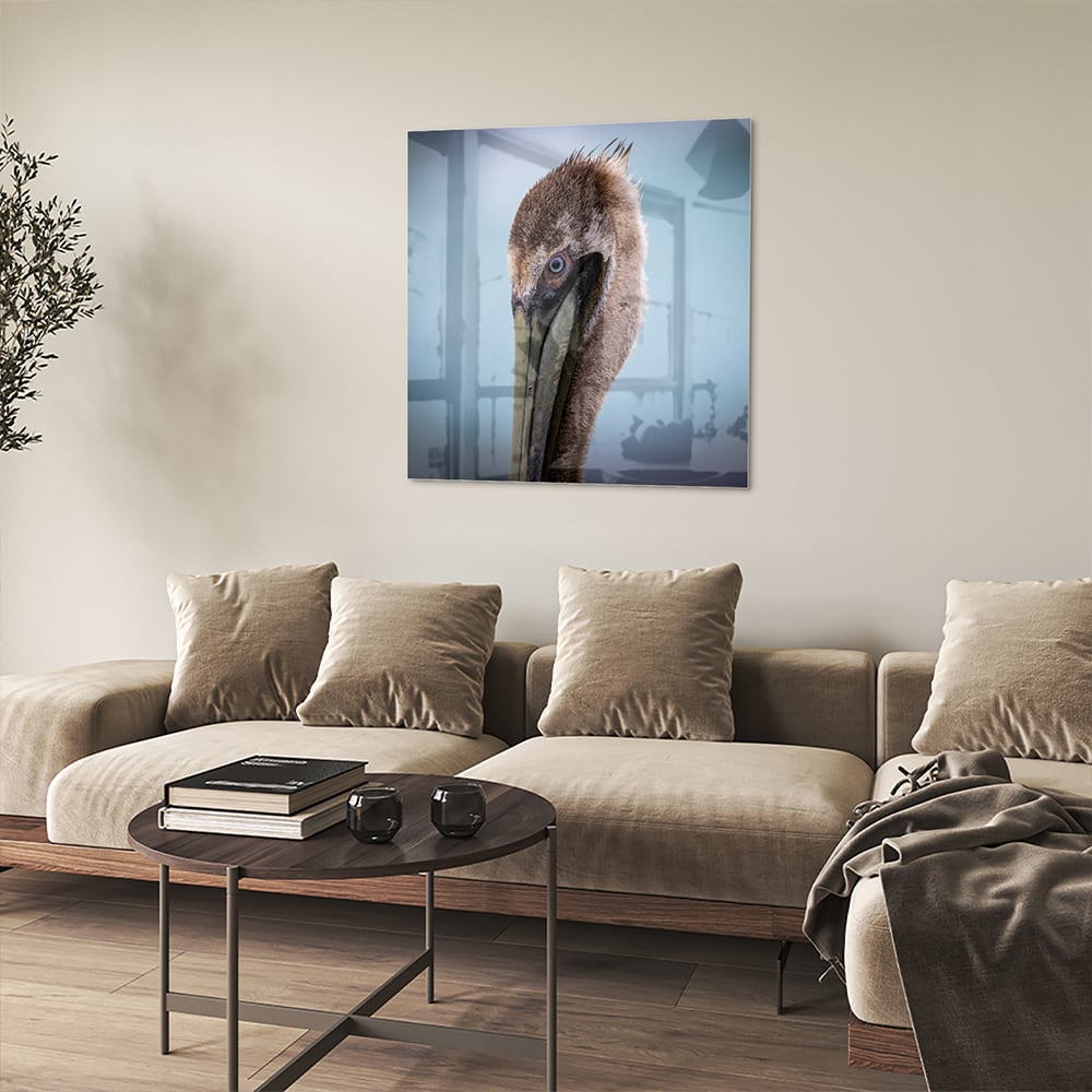 Stilvolles Glasbild mit Pelikan-Porträt – Glasbild aus Sicherheitsglas, Größe 90x90_rond