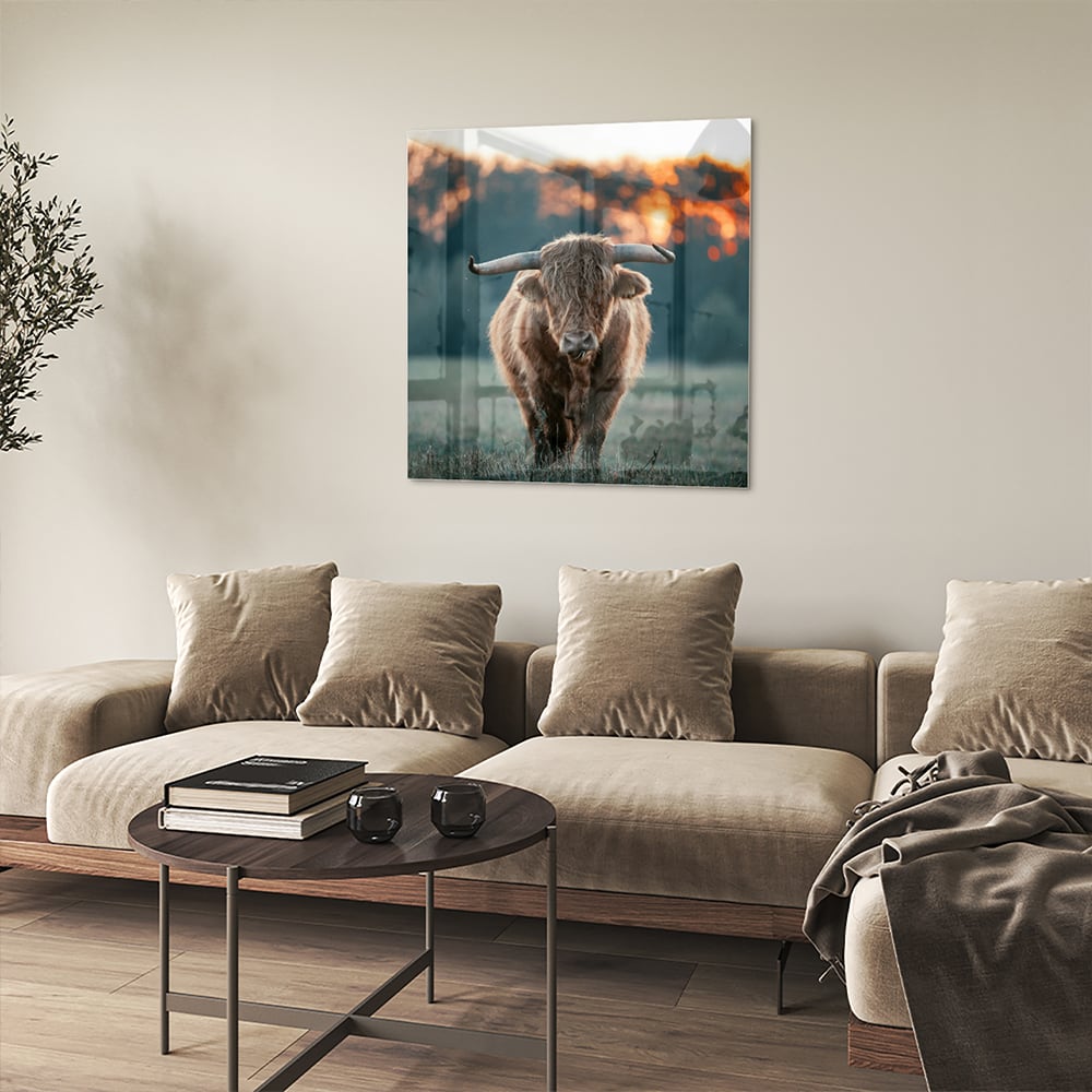 Glänzendes Glasbild mit schottischem Hochlandrind – Glasbild aus Sicherheitsglas, Größe 90x90_rond