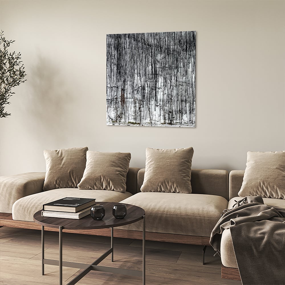 Minimalistisches Glasbild mit Bäumen – Glasbild aus Sicherheitsglas, Größe 90x90_rond
