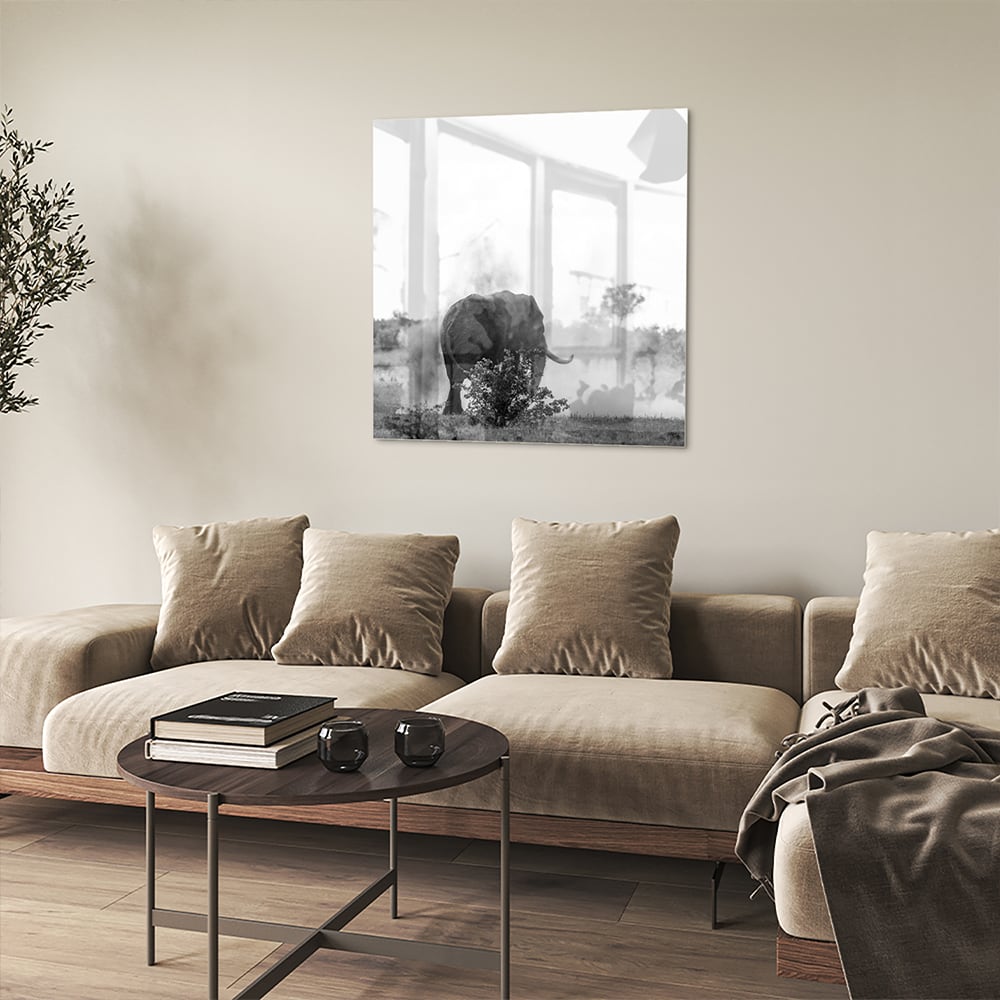 Elegantes Schwarz-Weiß-Glasbild mit einem Elefanten – Glasbild aus Sicherheitsglas, Größe 90x90_rond