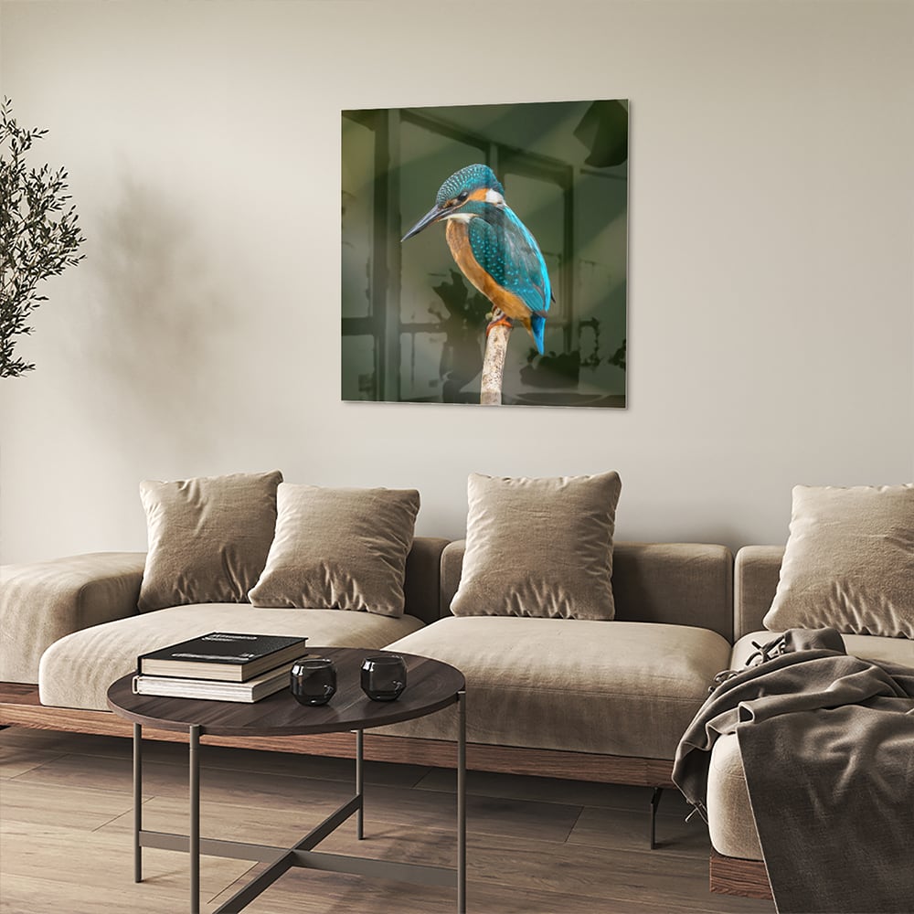 Elegantes Glasbild mit einem Eisvogel – Glasbild aus Sicherheitsglas, Größe 90x90_rond