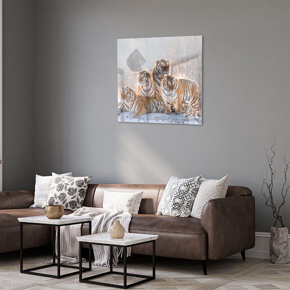 Glasbild mit drei majestätischen Tigern – Glasbild aus Sicherheitsglas, Größe 120x80