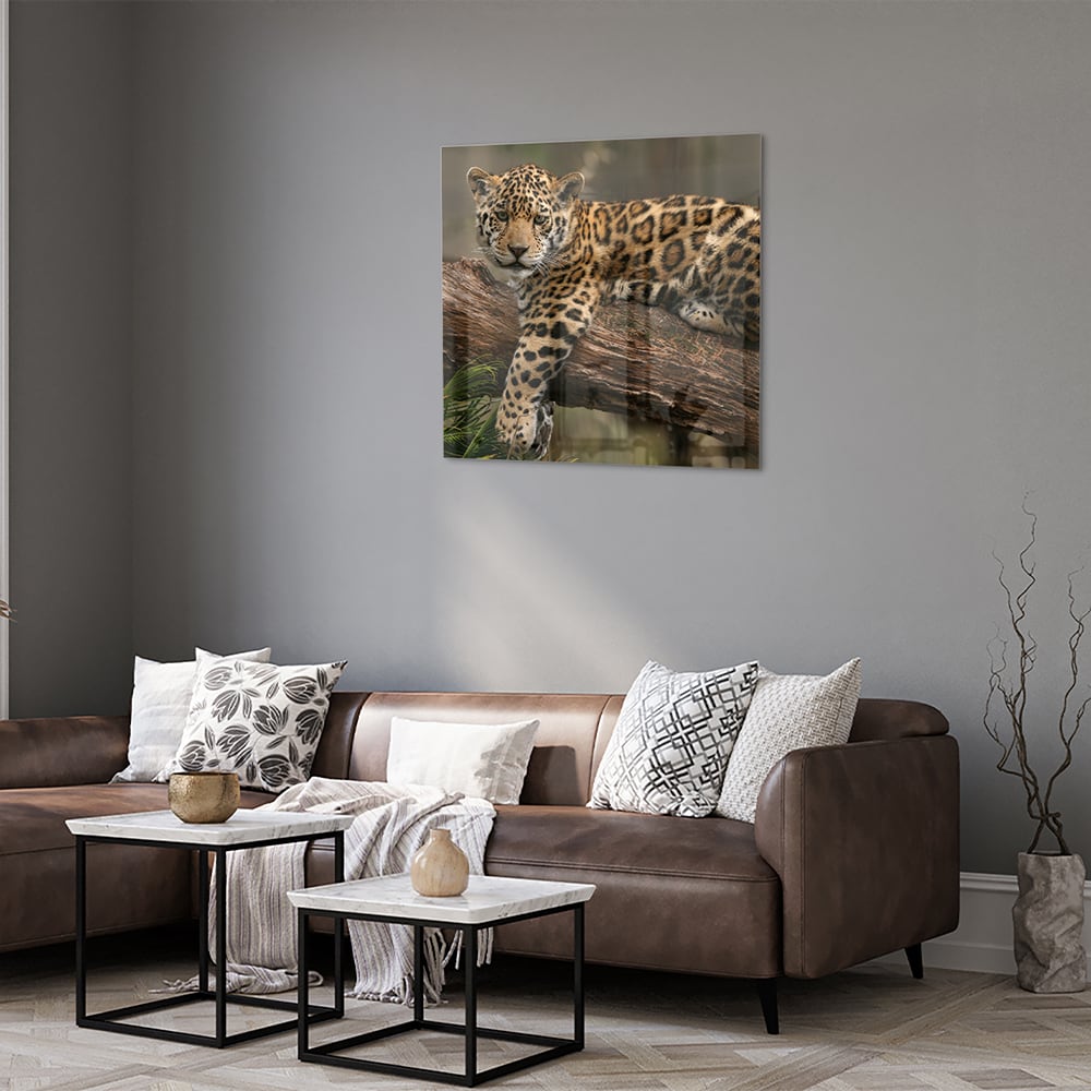 Glasbild mit einem majestätischen Jaguar – Glasbild aus Sicherheitsglas, Größe 120x80