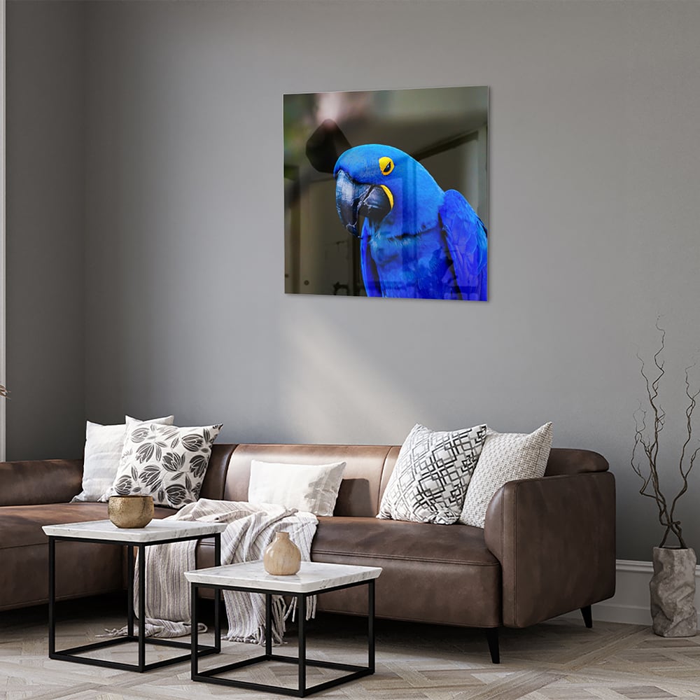 Glasbild mit einem wunderschönen blauen Ara – Glasbild aus Sicherheitsglas, Größe 120x80