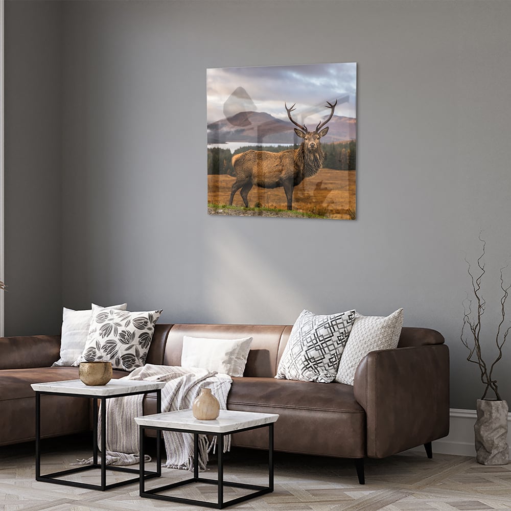 Glasbild mit majestätischem Hirsch – Glasbild aus Sicherheitsglas, Größe 120x80