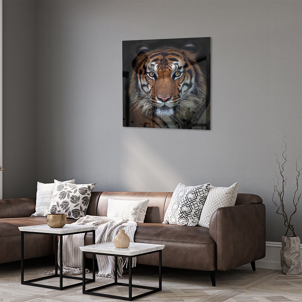 Kraftvoller Tiger – Glasbild für Ihr Interieur – Glasbild aus Sicherheitsglas, Größe 120x80