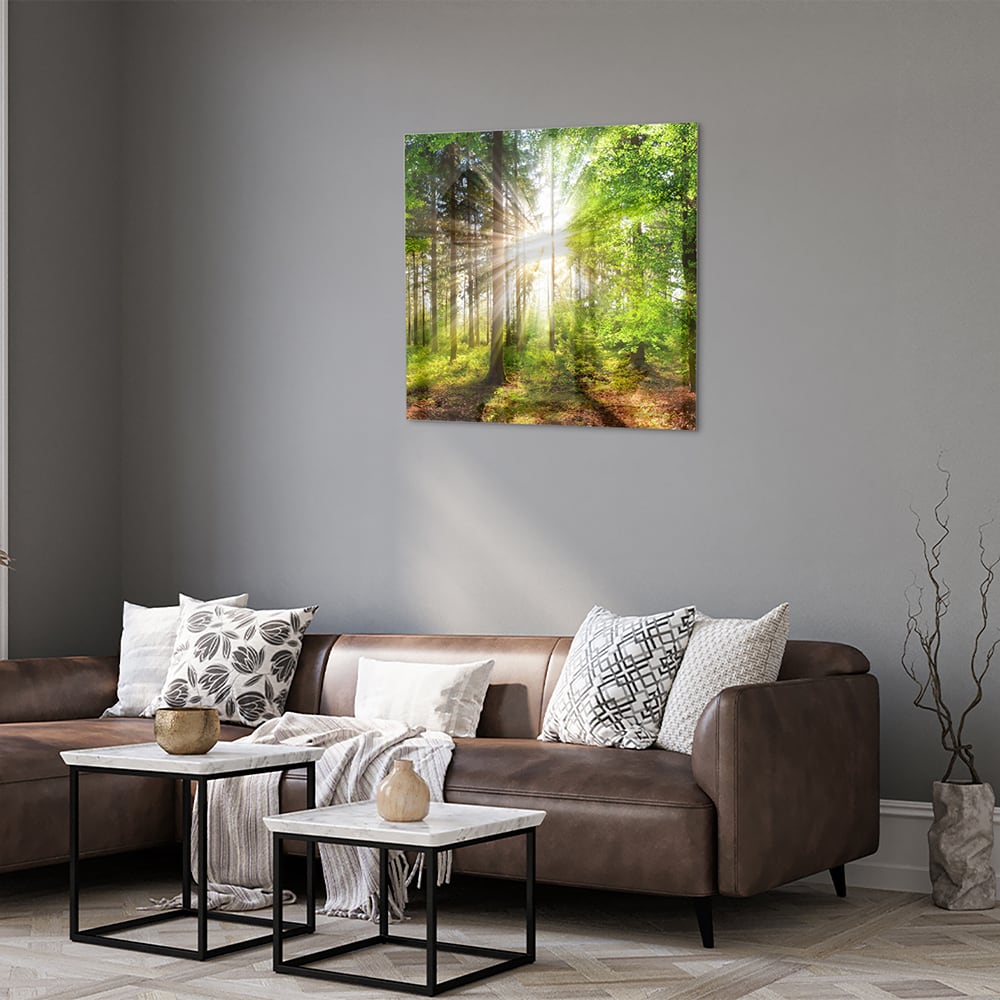 Glasbild mit sonnigem Wald für die Wohndekoration – Glasbild aus Sicherheitsglas, Größe 120x80