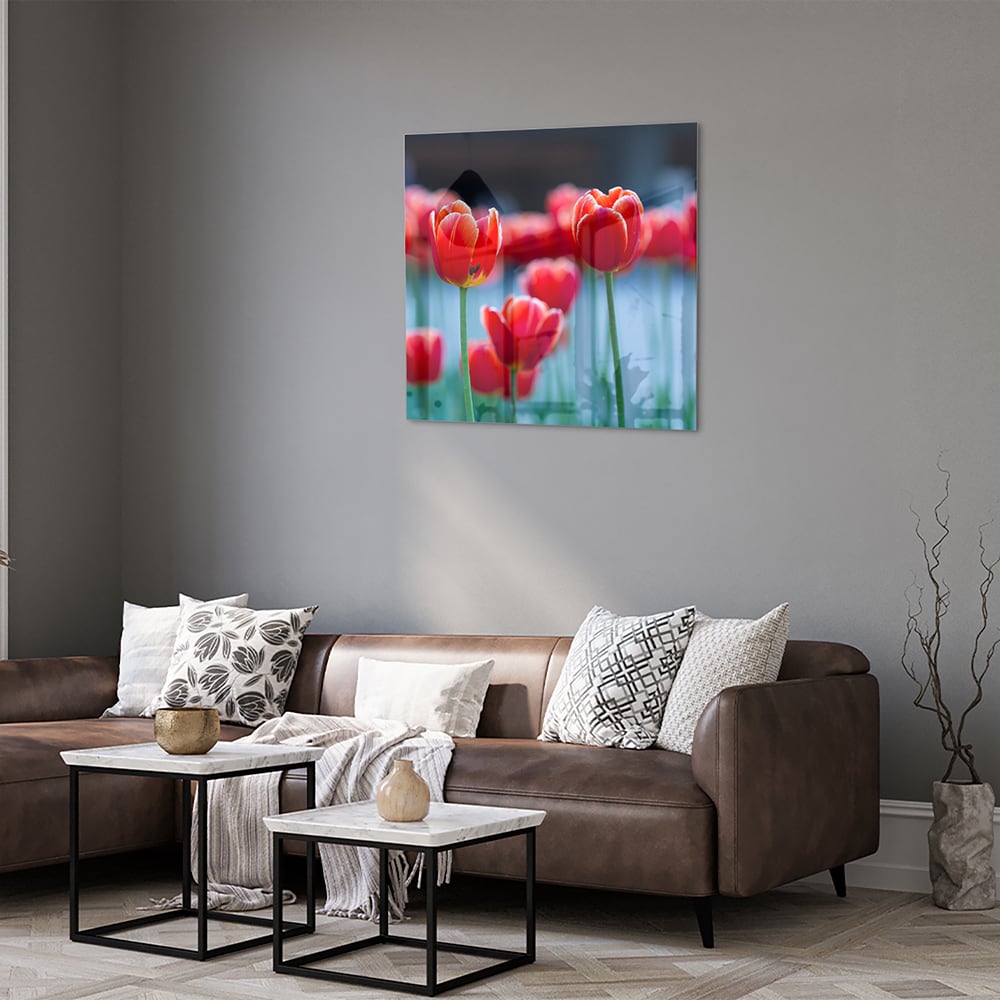 Glasbild – Lebendige rote Tulpen – Glasbild aus Sicherheitsglas, Größe 120x80