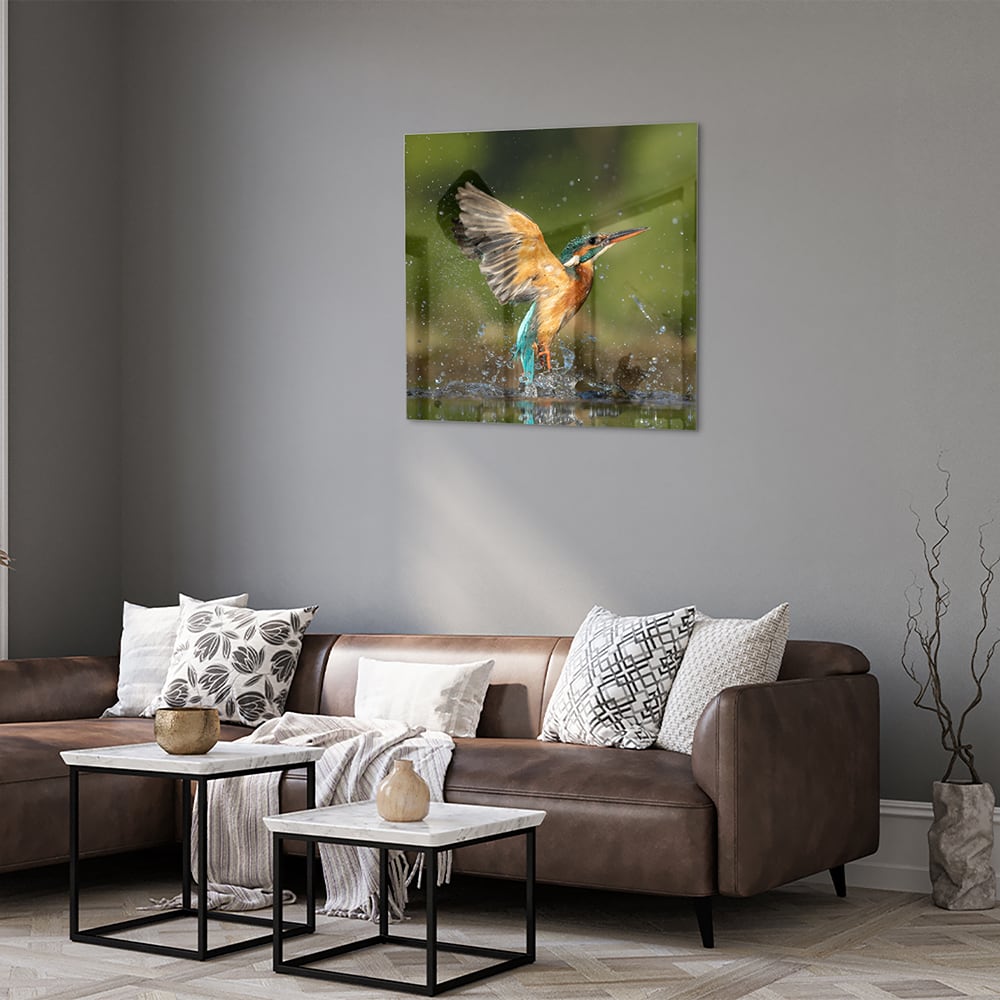 Glasbild mit einem farbenfrohen Eisvogel – Glasbild aus Sicherheitsglas, Größe 120x80