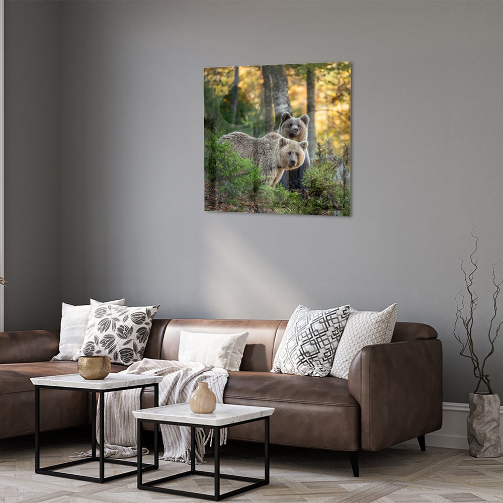Glasbild mit zwei niedlichen Bären im Wald – Glasbild aus Sicherheitsglas, Größe 120x80