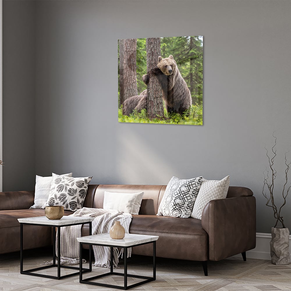 Glasbild mit beeindruckenden Grizzlybären in der Wildnis – Glasbild aus Sicherheitsglas, Größe 120x80
