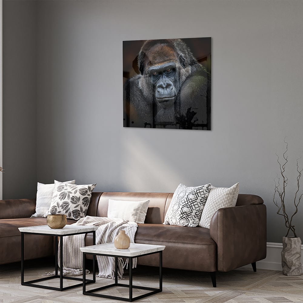 Beeindruckendes Glasbild mit einem Gorilla – Glasbild aus Sicherheitsglas, Größe 120x80