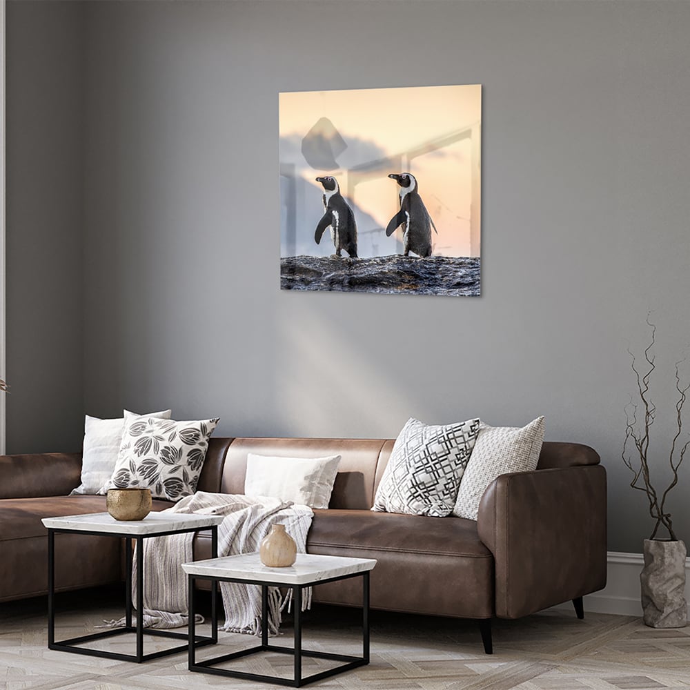Glasbild mit Pinguinen bei Sonnenuntergang – Glasbild aus Sicherheitsglas, Größe 120x80