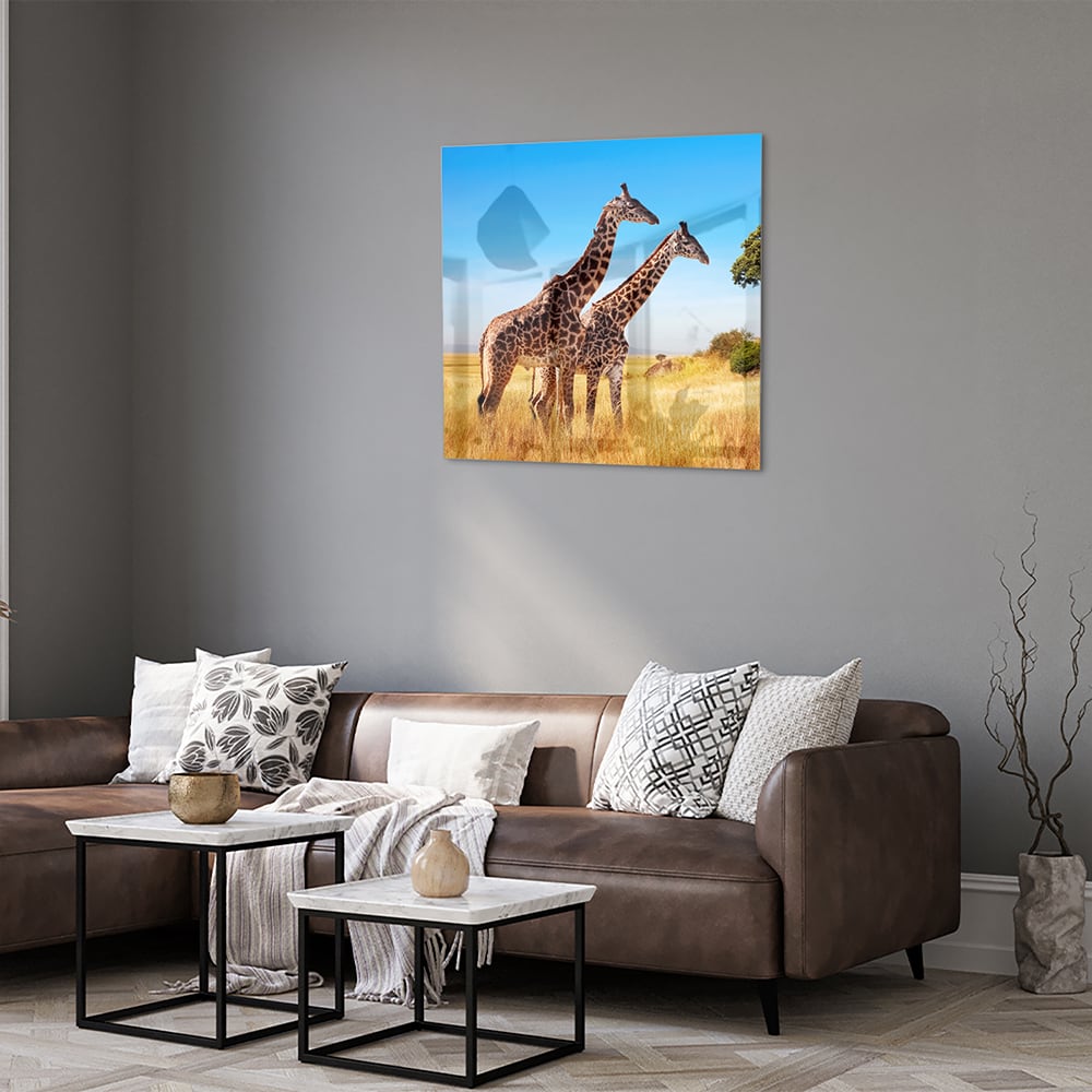 Glasbild mit zwei Giraffen in der afrikanischen Landschaft – Glasbild aus Sicherheitsglas, Größe 120x80