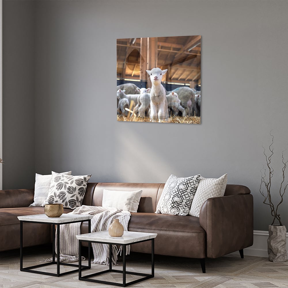 Glasbild – Niedliche Lämmer in einem Stall – Glasbild aus Sicherheitsglas, Größe 120x80