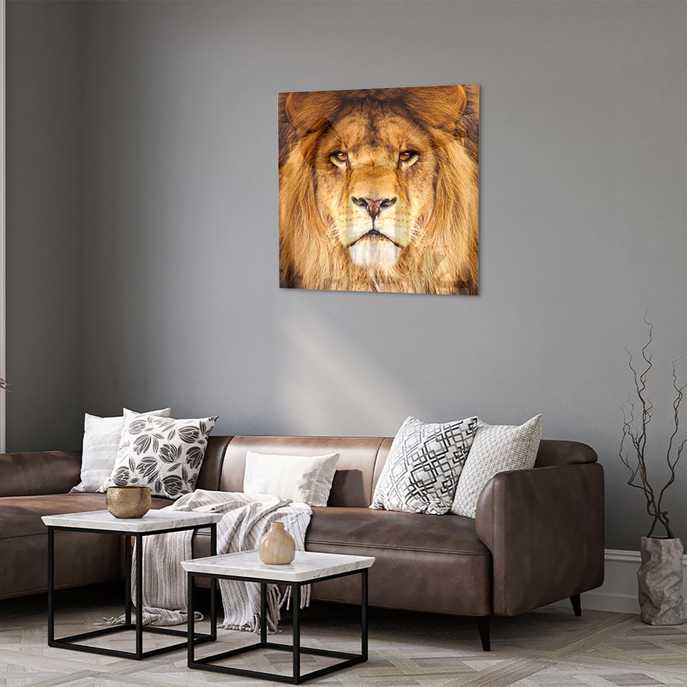 Glasbild mit majestätischem Löwen für Ihr Interieur – Glasbild aus Sicherheitsglas, Größe 120x80