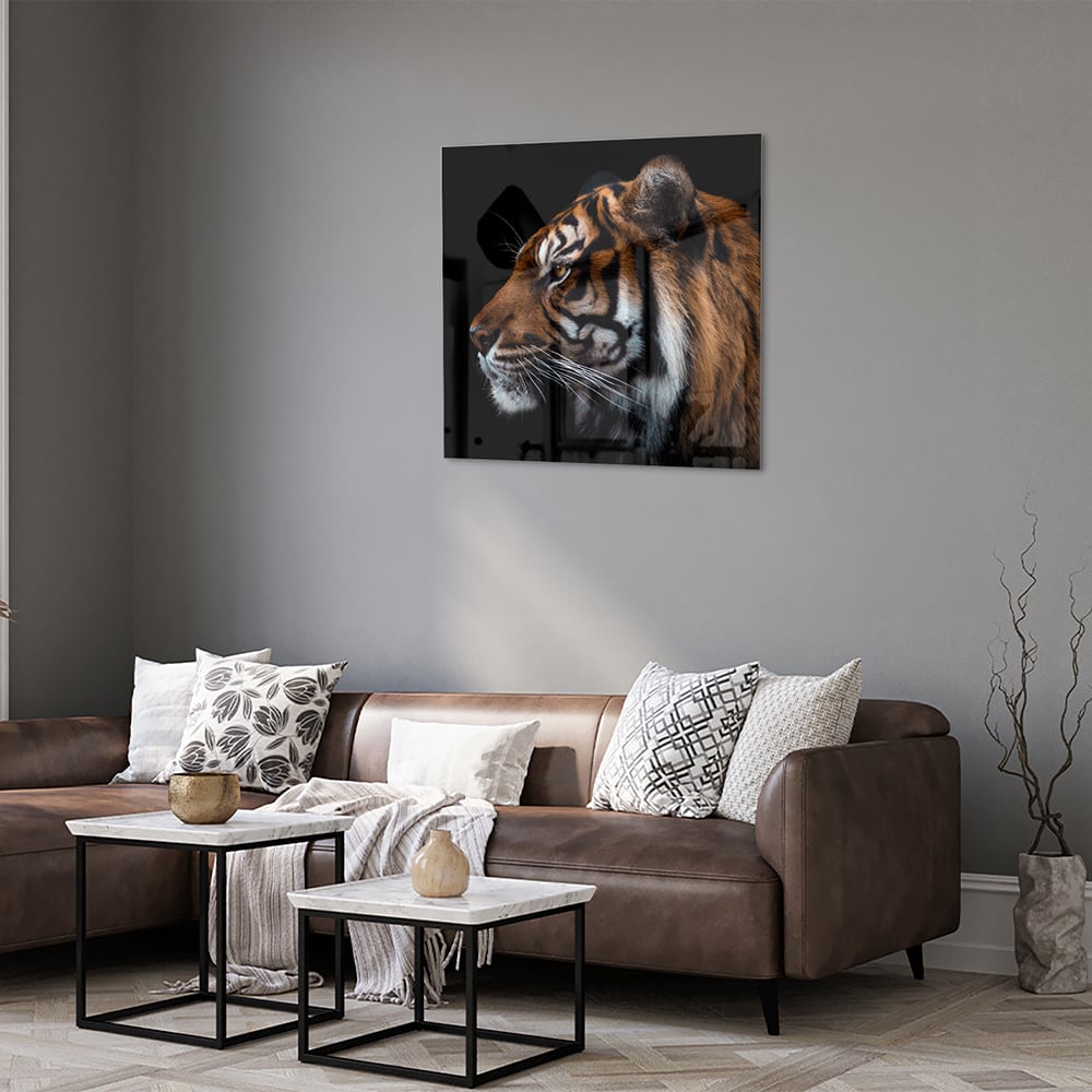 Glasbild mit majestätischen Tigern – Glasbild aus Sicherheitsglas, Größe 120x80
